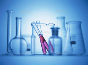 モールテックスの安全性の試験結果