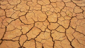 モールテックスはひび割れを起こしにくい