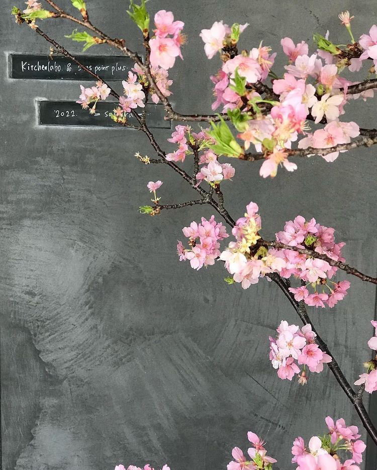 季節の花や異素材ともマッチするモールテックス！　sanpoint様施工事例