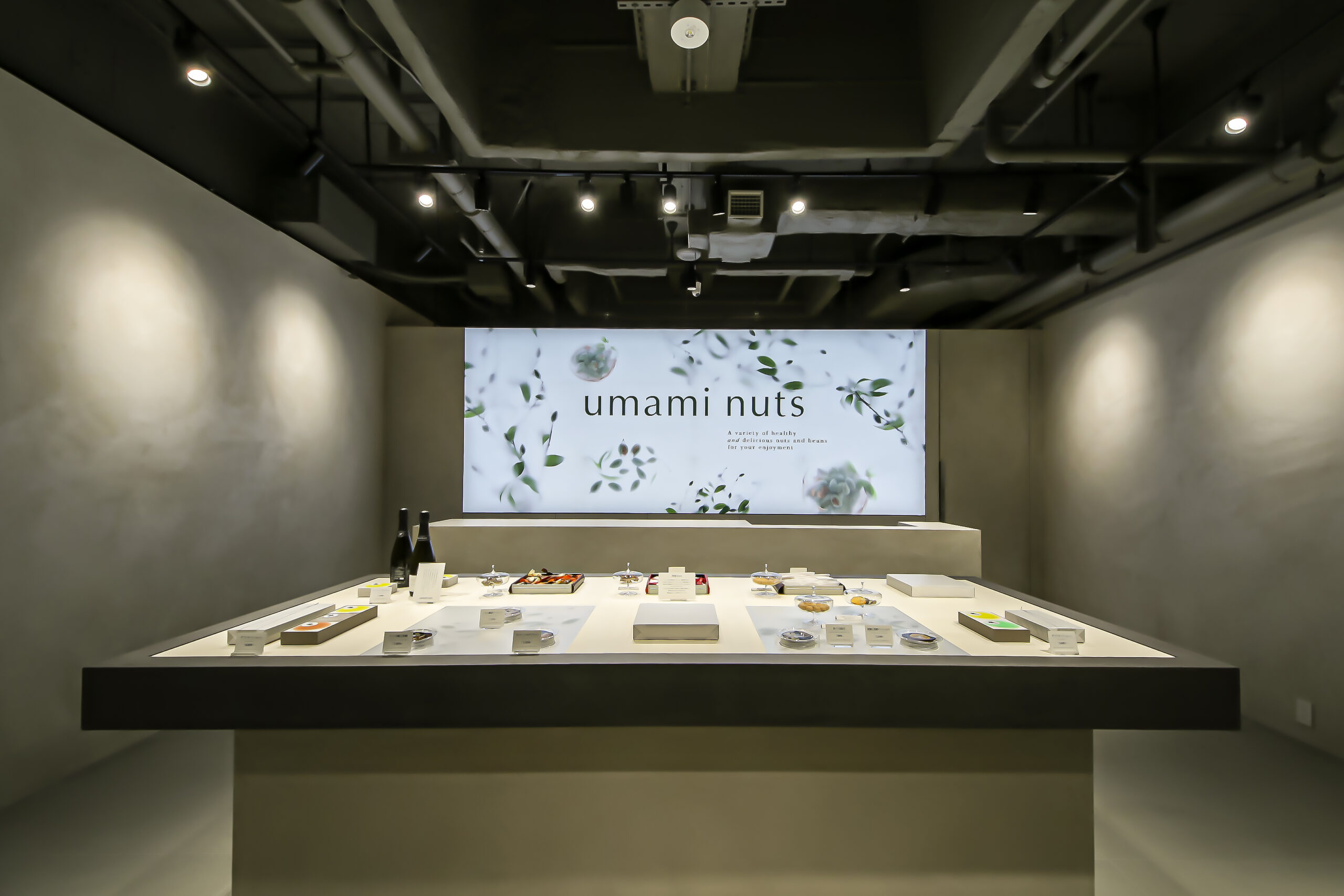 モールテックス施工事例